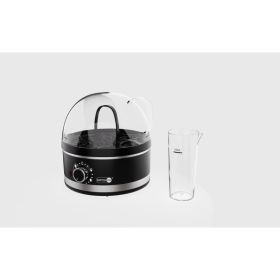 Mini Multifunctional Household Plug-in Steam Boiler (Option: Black-US)